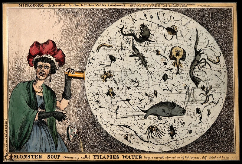 A 19th century woman drops her tea-cup in horror upon viewing a magnified drop of polluted Thames water, which was a prime source of water-borne diseases such as cholera and typhoid. William Heath , Public domain, via Wikimedia Commons